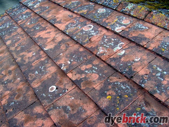 Roof After Scraping 2
